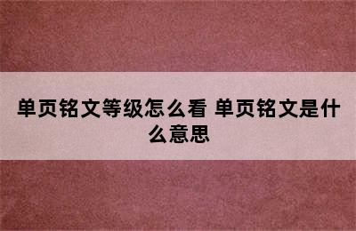 单页铭文等级怎么看 单页铭文是什么意思